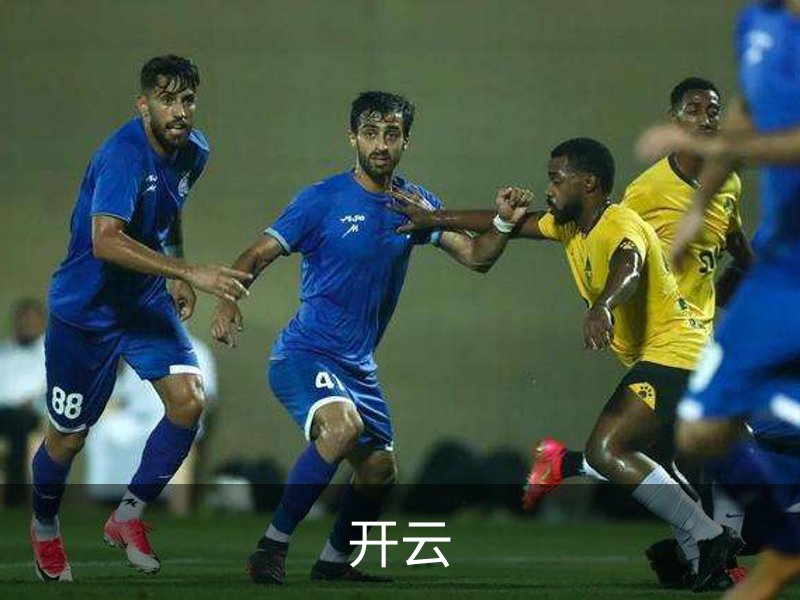 开云概况